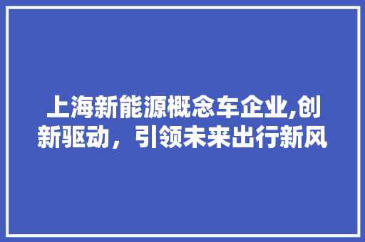 上海新能源概念车企业,创新驱动，引领未来出行新风尚