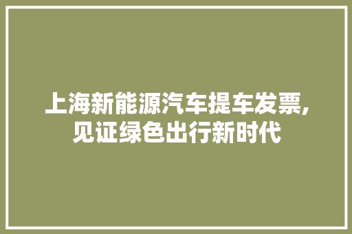 上海新能源汽车提车发票,见证绿色出行新时代