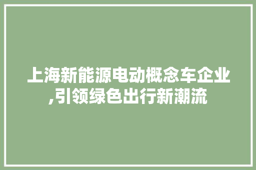 上海新能源电动概念车企业,引领绿色出行新潮流