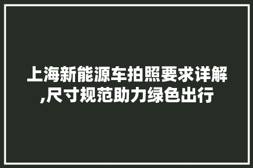 上海新能源车拍照要求详解,尺寸规范助力绿色出行