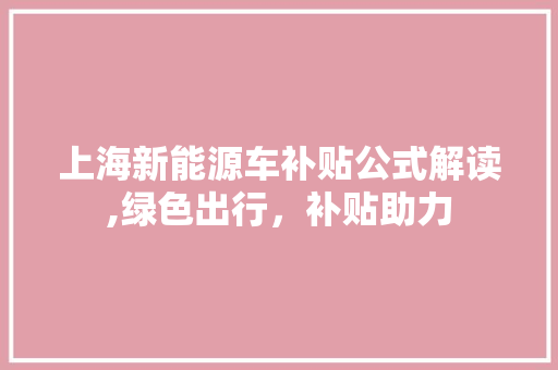 上海新能源车补贴公式解读,绿色出行，补贴助力 自动驾驶