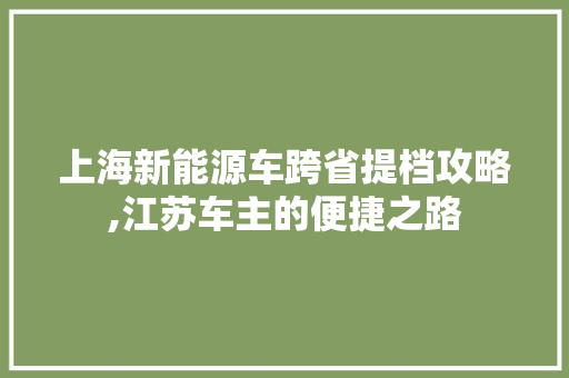 上海新能源车跨省提档攻略,江苏车主的便捷之路