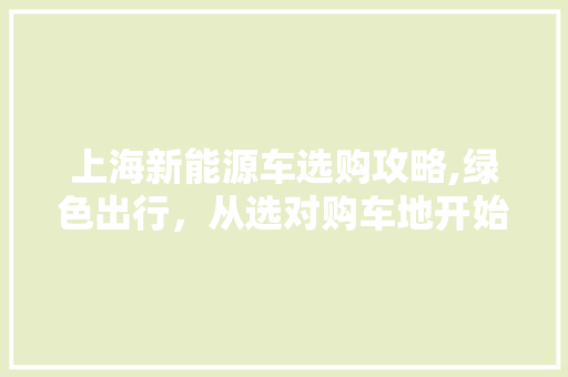 上海新能源车选购攻略,绿色出行，从选对购车地开始
