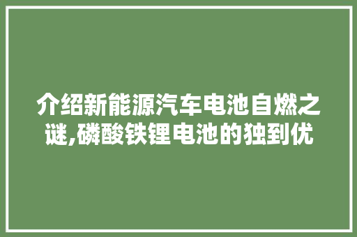 介绍新能源汽车电池自燃之谜,磷酸铁锂电池的独到优势