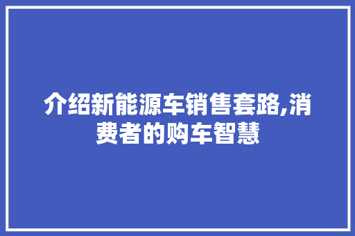 介绍新能源车销售套路,消费者的购车智慧