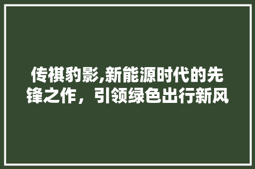 传祺豹影,新能源时代的先锋之作，引领绿色出行新风尚
