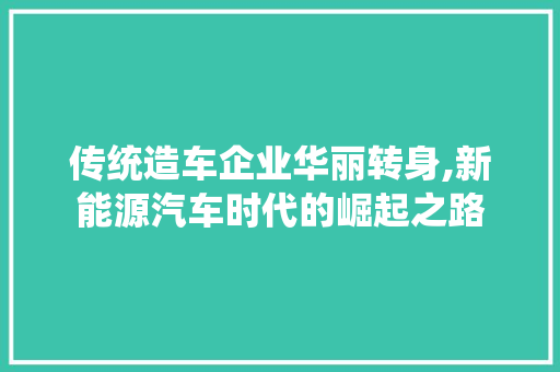传统造车企业华丽转身,新能源汽车时代的崛起之路