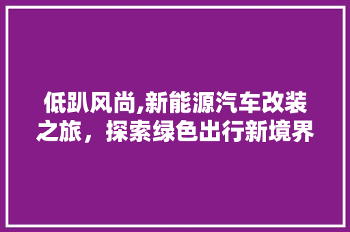 低趴风尚,新能源汽车改装之旅，探索绿色出行新境界