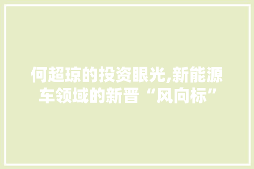 何超琼的投资眼光,新能源车领域的新晋“风向标”