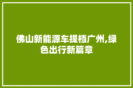 佛山新能源车提档广州,绿色出行新篇章