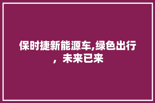 保时捷新能源车,绿色出行，未来已来