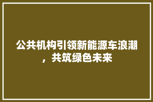 公共机构引领新能源车浪潮，共筑绿色未来