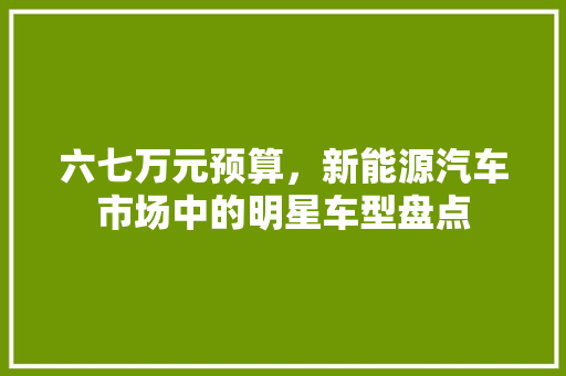 六七万元预算，新能源汽车市场中的明星车型盘点