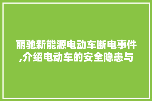 丽驰新能源电动车断电事件,介绍电动车的安全隐患与行业反思