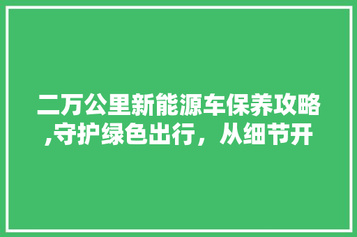 二万公里新能源车保养攻略,守护绿色出行，从细节开始