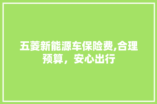 五菱新能源车保险费,合理预算，安心出行
