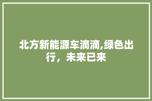 北方新能源车滴滴,绿色出行，未来已来