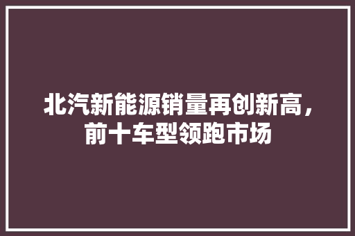 北汽新能源销量再创新高，前十车型领跑市场