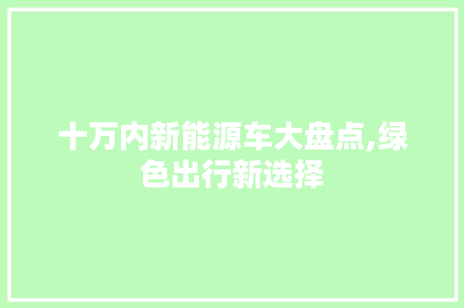 十万内新能源车大盘点,绿色出行新选择