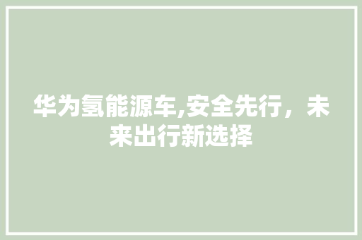 华为氢能源车,安全先行，未来出行新选择