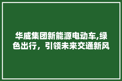 华威集团新能源电动车,绿色出行，引领未来交通新风尚