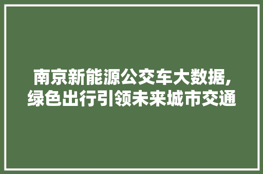南京新能源公交车大数据,绿色出行引领未来城市交通新风尚