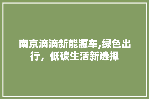 南京滴滴新能源车,绿色出行，低碳生活新选择