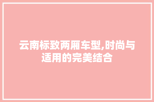 云南标致两厢车型,时尚与适用的完美结合