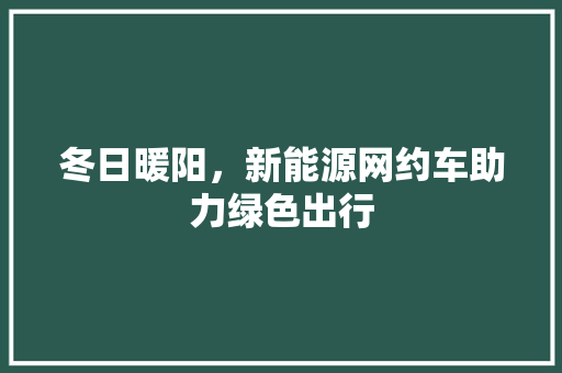 冬日暖阳，新能源网约车助力绿色出行