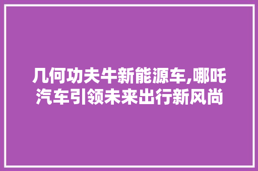 几何功夫牛新能源车,哪吒汽车引领未来出行新风尚