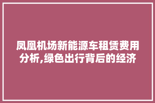 凤凰机场新能源车租赁费用分析,绿色出行背后的经济考量