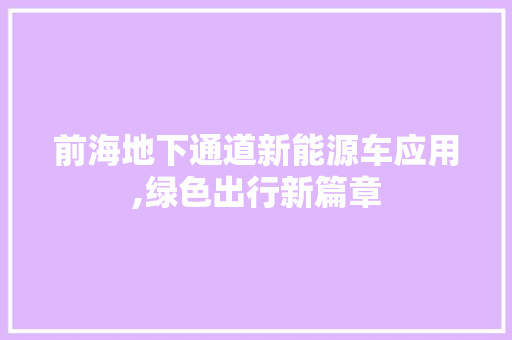 前海地下通道新能源车应用,绿色出行新篇章