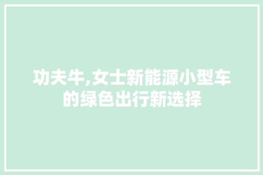 功夫牛,女士新能源小型车的绿色出行新选择