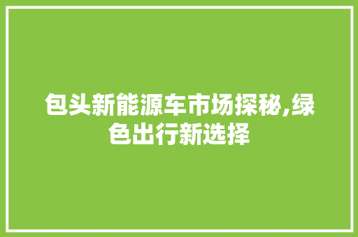包头新能源车市场探秘,绿色出行新选择