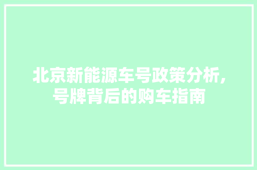 北京新能源车号政策分析,号牌背后的购车指南