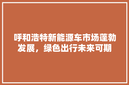 呼和浩特新能源车市场蓬勃发展，绿色出行未来可期