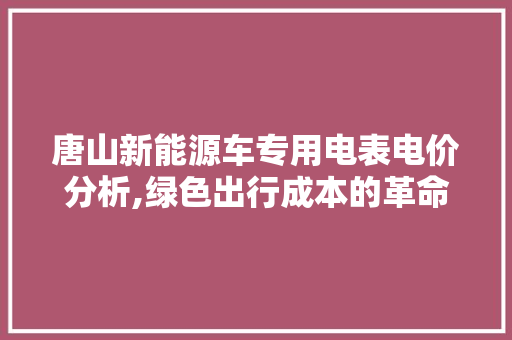 唐山新能源车专用电表电价分析,绿色出行成本的革命性变化