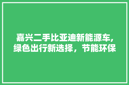嘉兴二手比亚迪新能源车,绿色出行新选择，节能环保新潮流