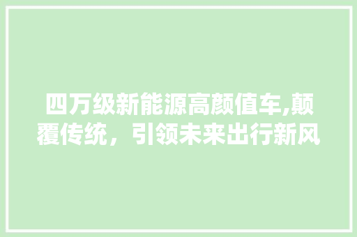 四万级新能源高颜值车,颠覆传统，引领未来出行新风尚