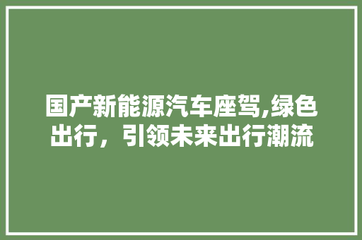 国产新能源汽车座驾,绿色出行，引领未来出行潮流