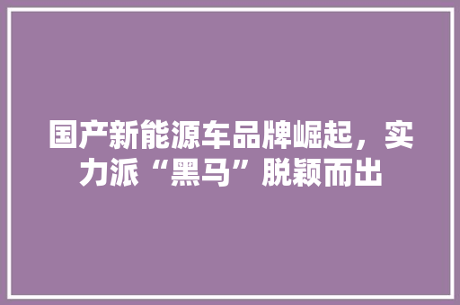 国产新能源车品牌崛起，实力派“黑马”脱颖而出