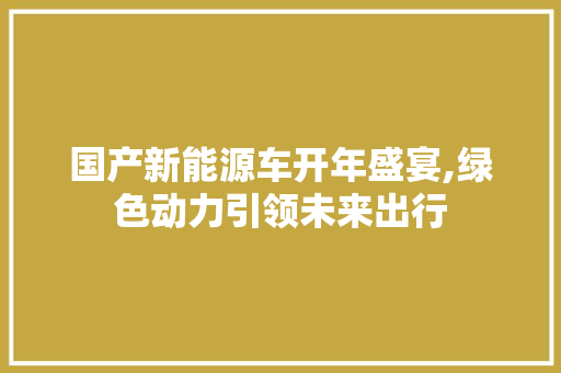 国产新能源车开年盛宴,绿色动力引领未来出行