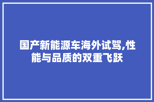 国产新能源车海外试驾,性能与品质的双重飞跃