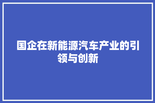 国企在新能源汽车产业的引领与创新 汽车配件