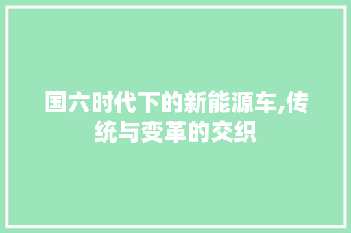 国六时代下的新能源车,传统与变革的交织