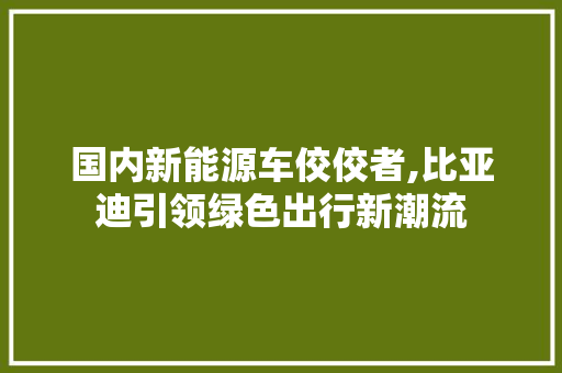 国内新能源车佼佼者,比亚迪引领绿色出行新潮流