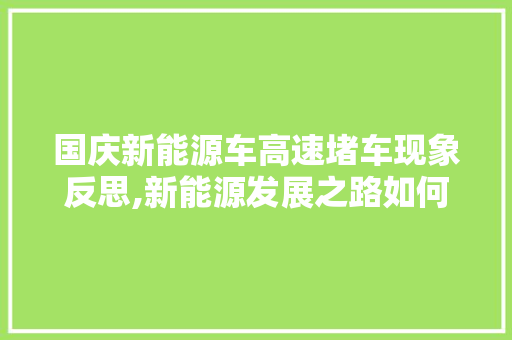 国庆新能源车高速堵车现象反思,新能源发展之路如何行稳致远