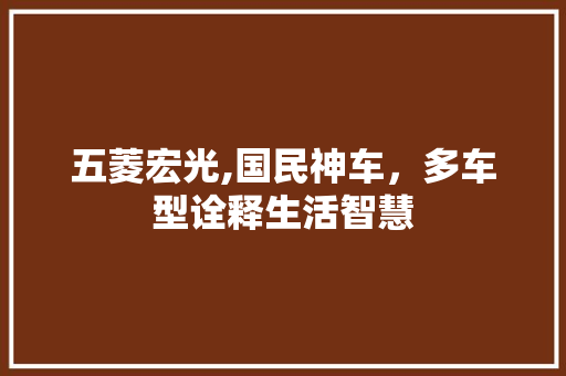 五菱宏光,国民神车，多车型诠释生活智慧