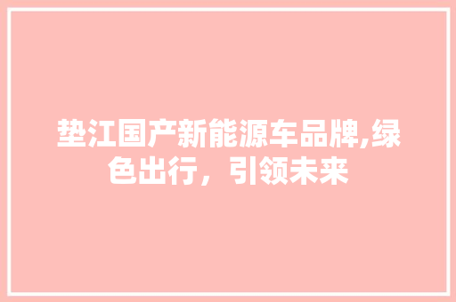 垫江国产新能源车品牌,绿色出行，引领未来