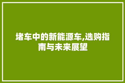 堵车中的新能源车,选购指南与未来展望